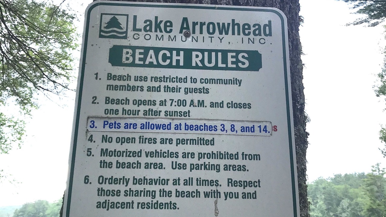 Photo of Outdoor in Lake Arrowhead