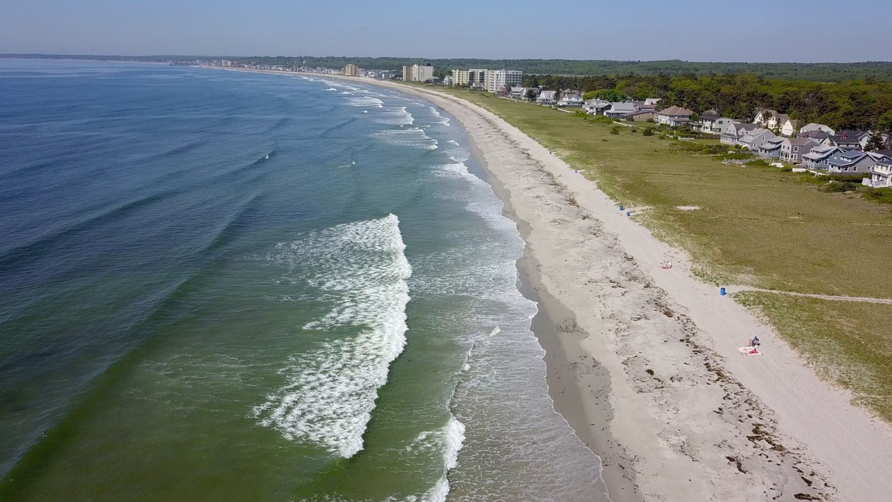 Photo of Others in Pine Point