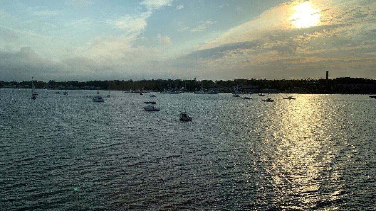 Photo of Others in Wareham