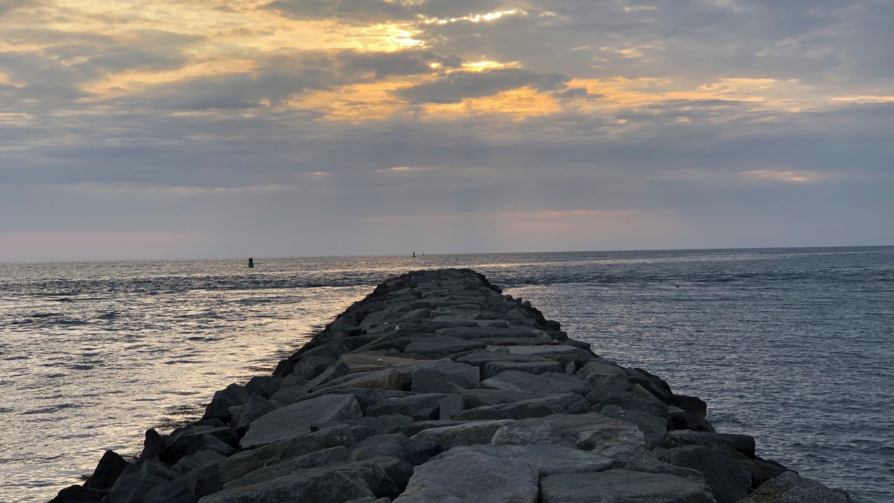 Photo of Others in Sandwich