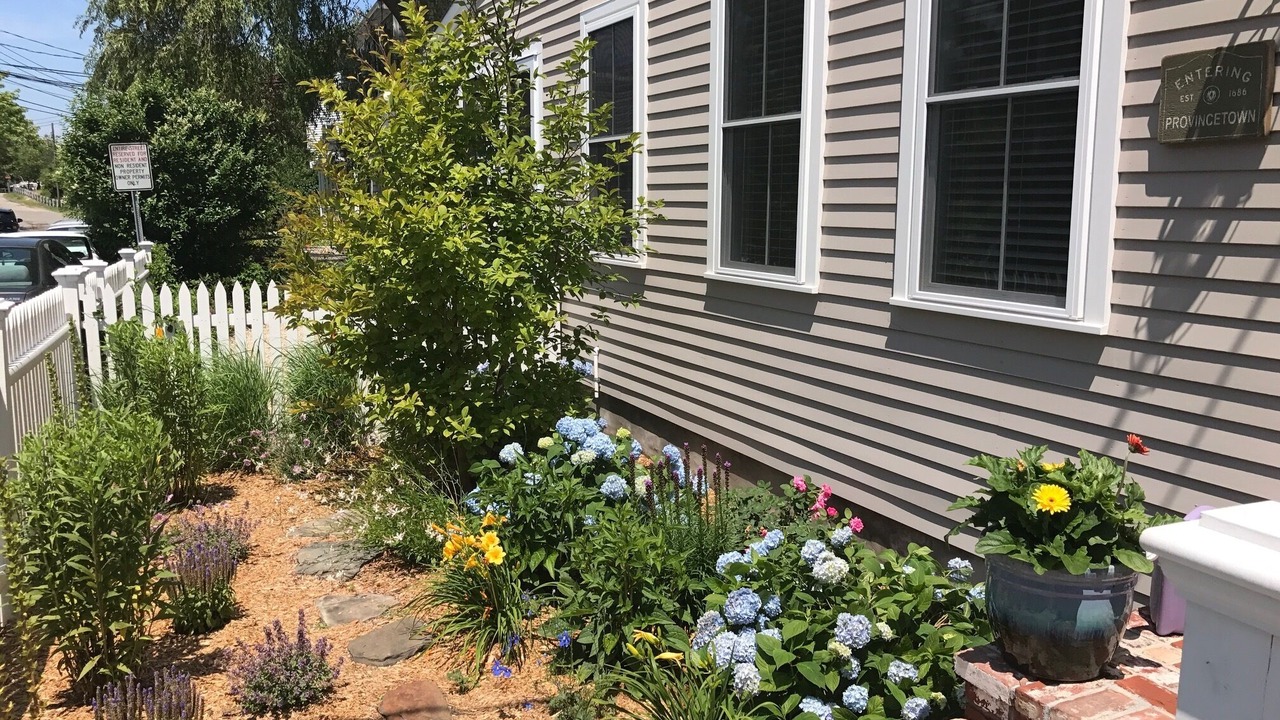 Photo of Outdoor in Provincetown