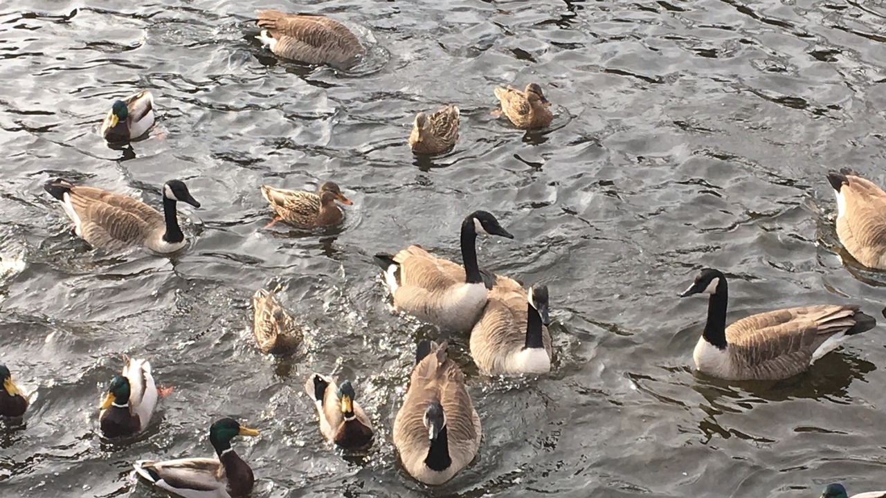 Photo of Others in Greenwich