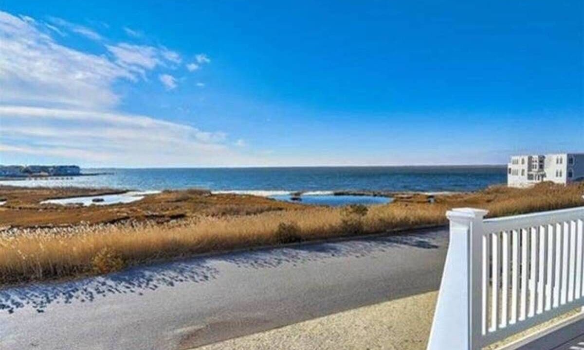 Photo of Others in Harvey Cedars