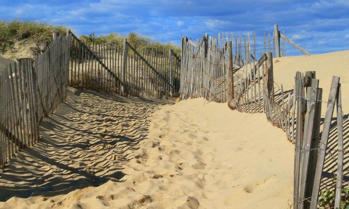 Photo of Others in Provincetown