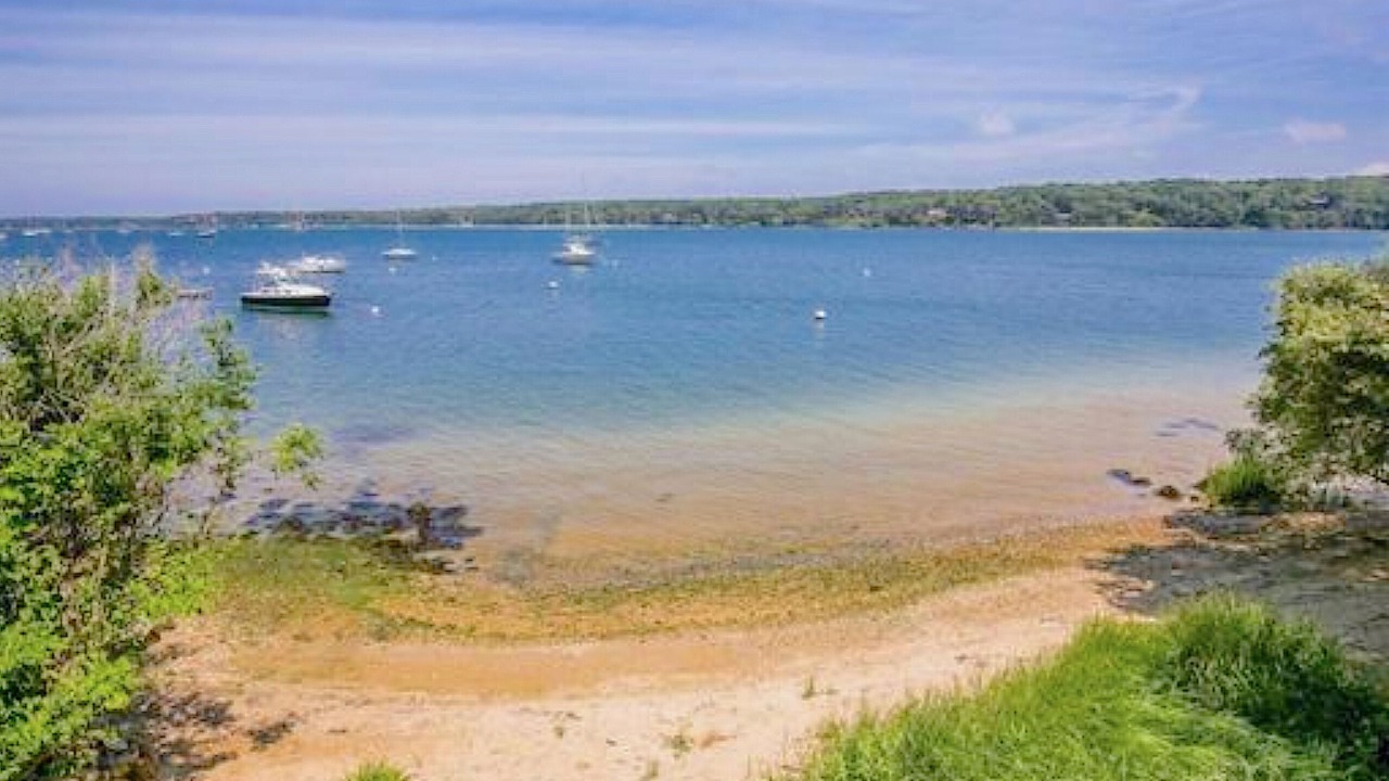 Photo of Others in Tisbury
