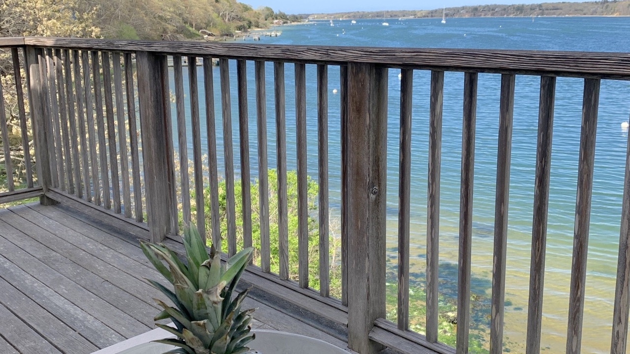 Photo of Outdoor in Tisbury