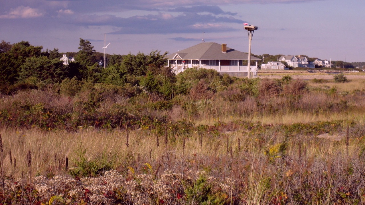 Photo of Outdoor in East Falmouth