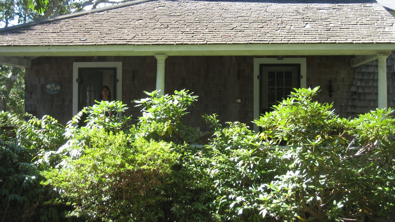 Photo of Outdoor in East Falmouth