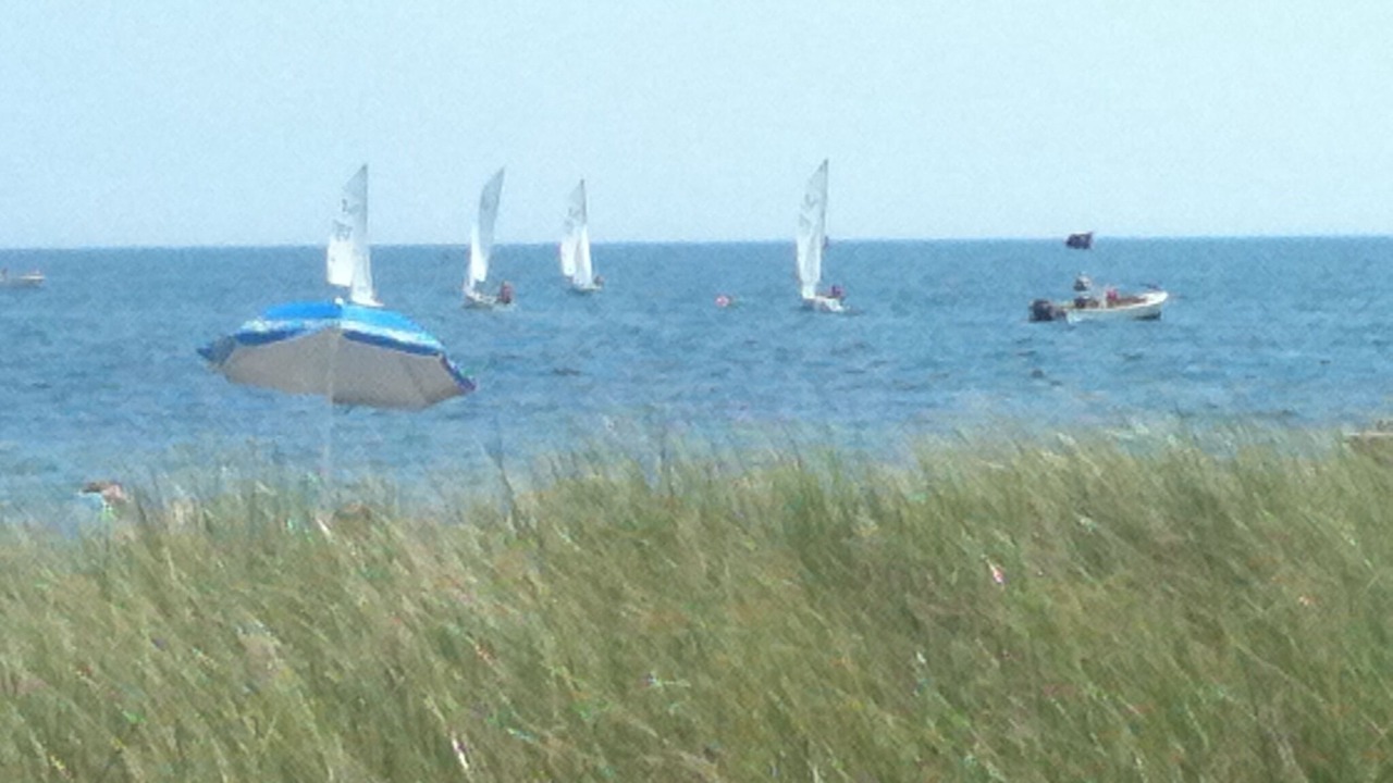 Photo of Others in East Falmouth