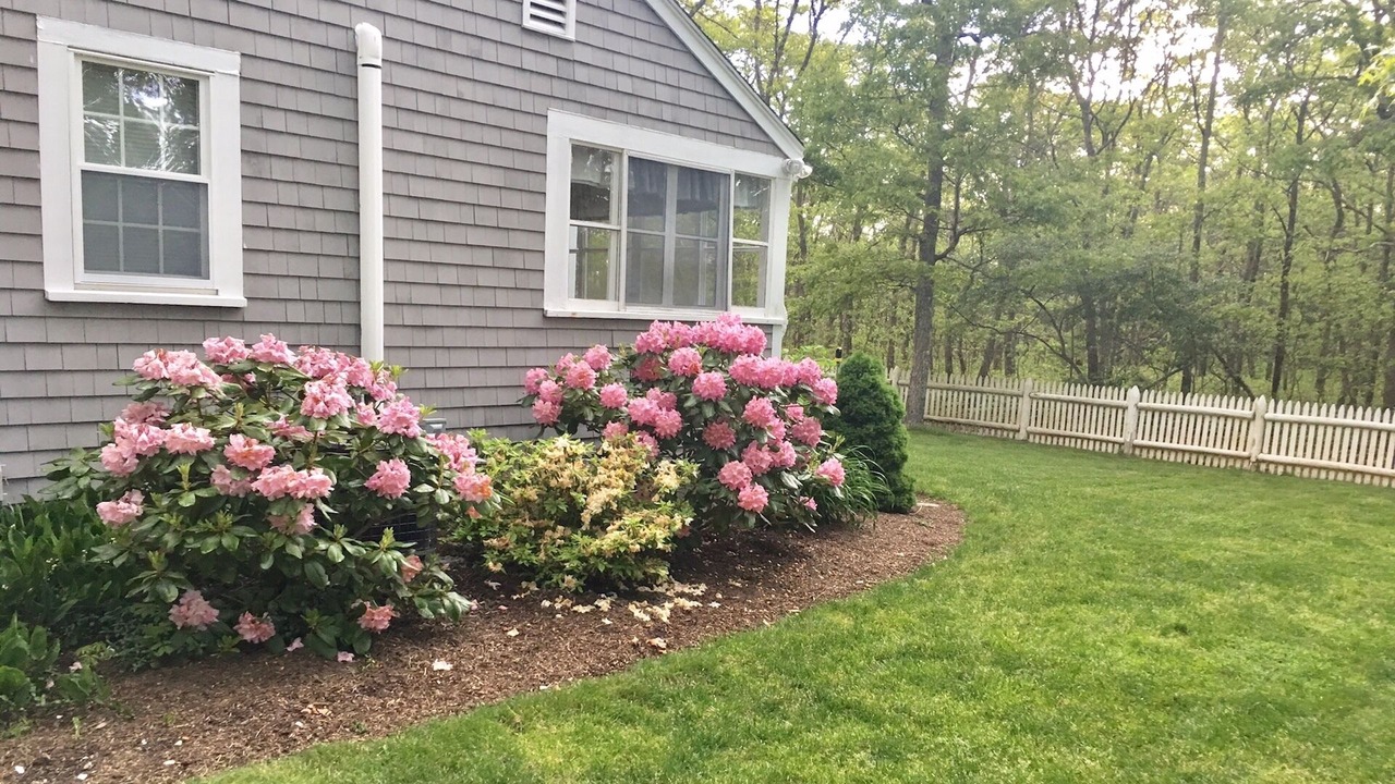 Photo of Others in Mashpee