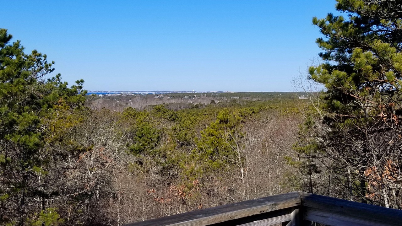 Photo of Patio Balcony in North Truro