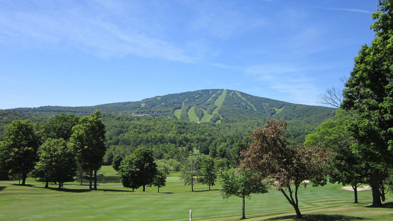Photo of Others in Stratton Mountain