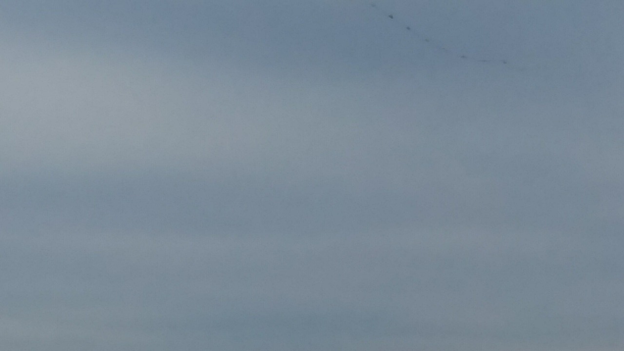Photo of Others in Hampton