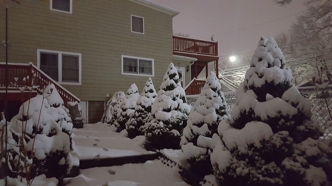 Photo of Others in West Roxbury