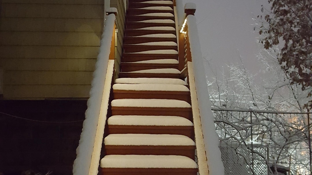Photo of Others in West Roxbury