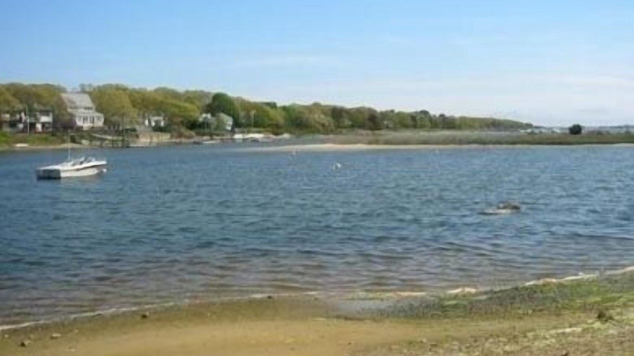 Photo of Others in East Falmouth
