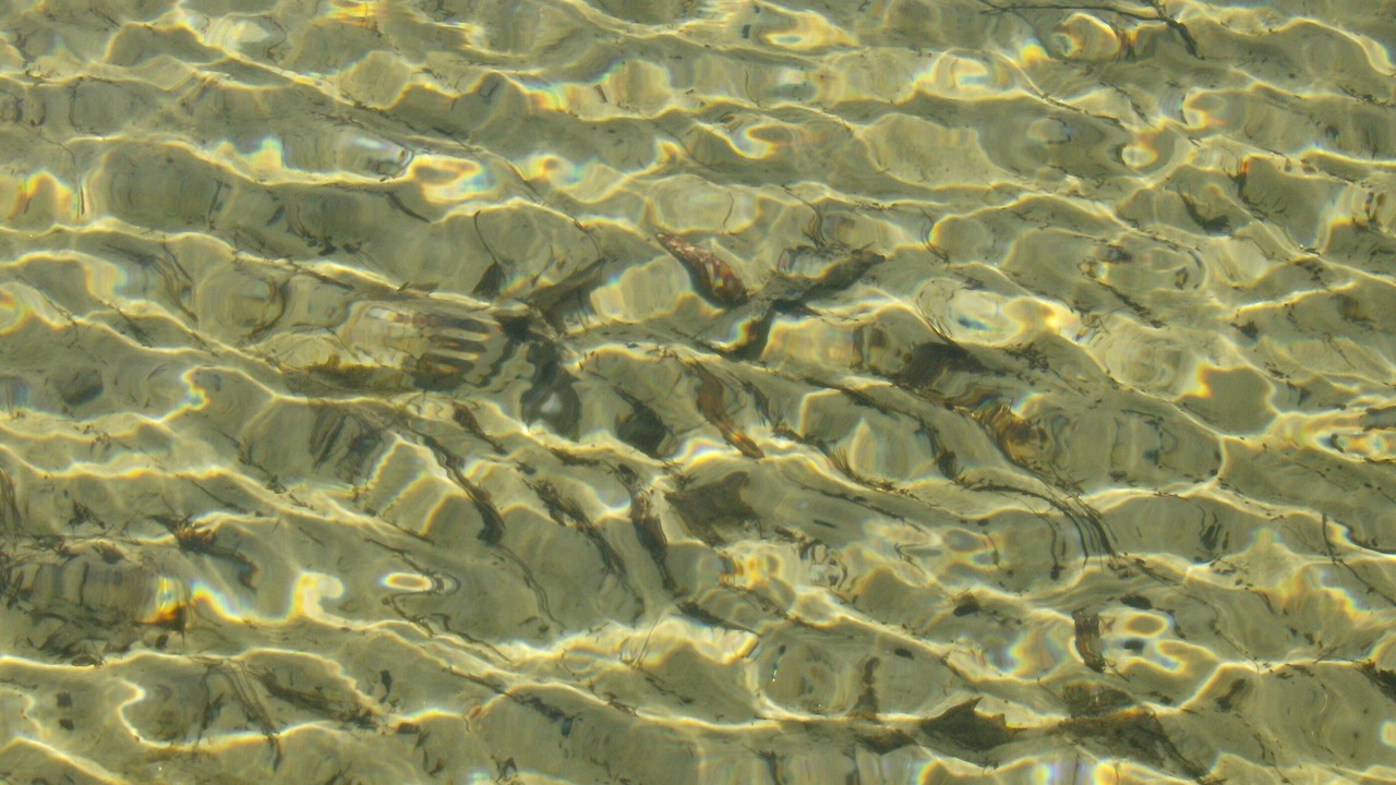 Photo of Others in Moultonborough
