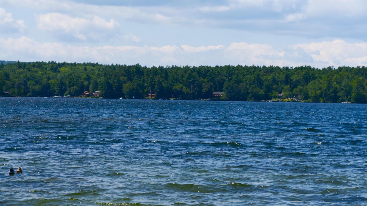 Photo of Outdoor in Moultonborough