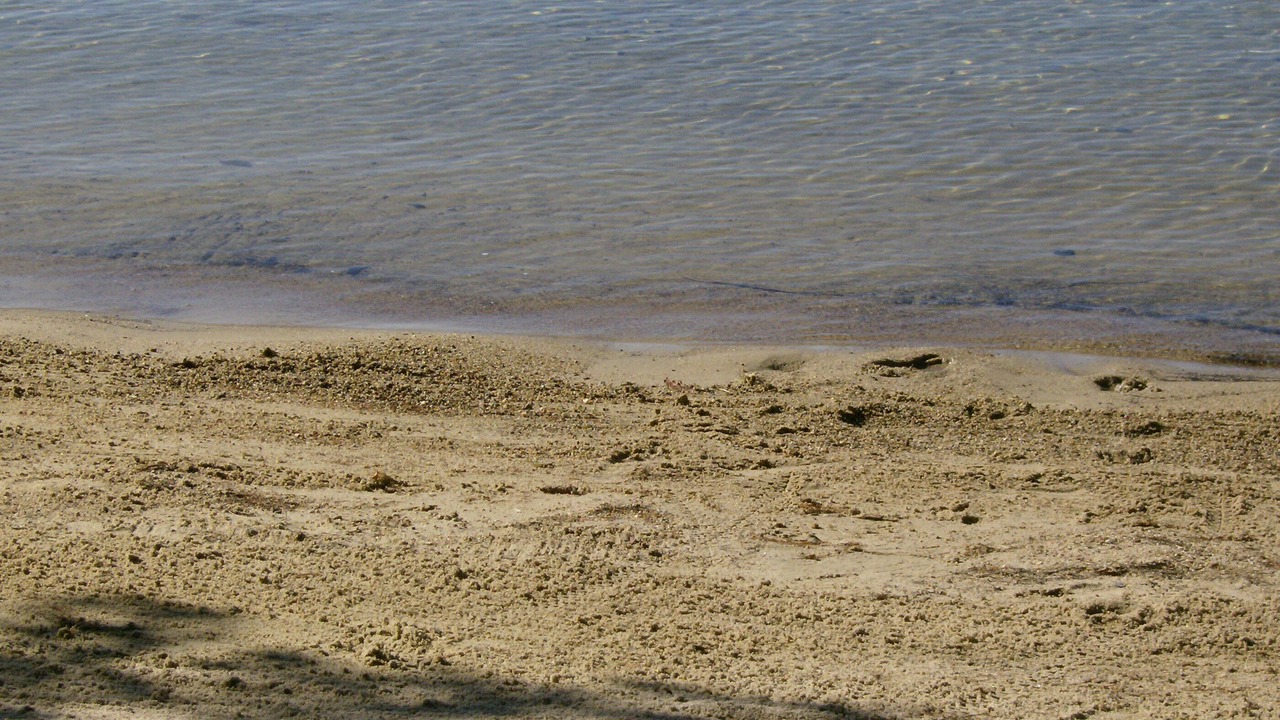 Photo of Others in Moultonborough