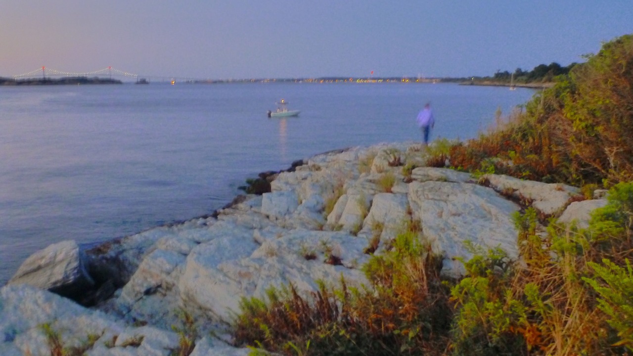 Photo of Others in The Point