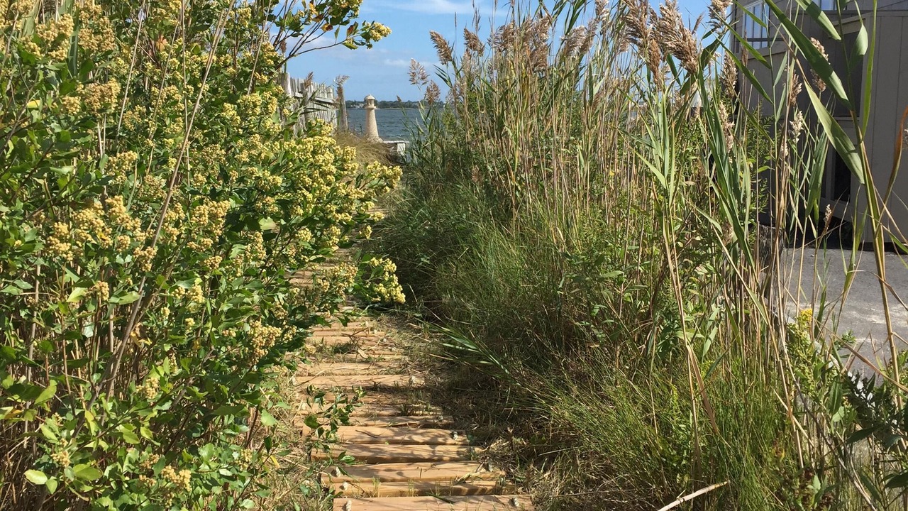 Photo of Others in Westhampton Beach
