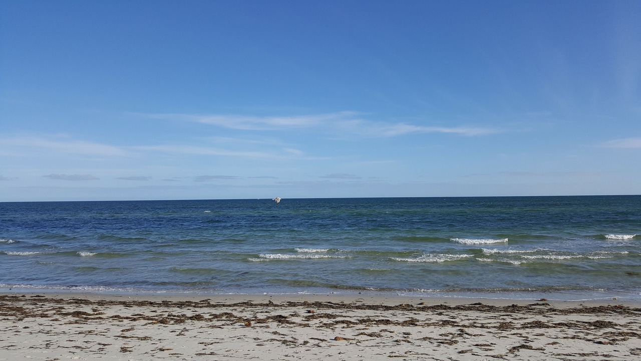 Photo of Others in West Yarmouth