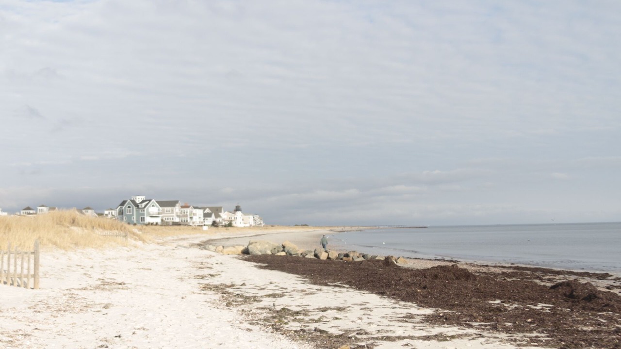 Photo of Others in West Yarmouth