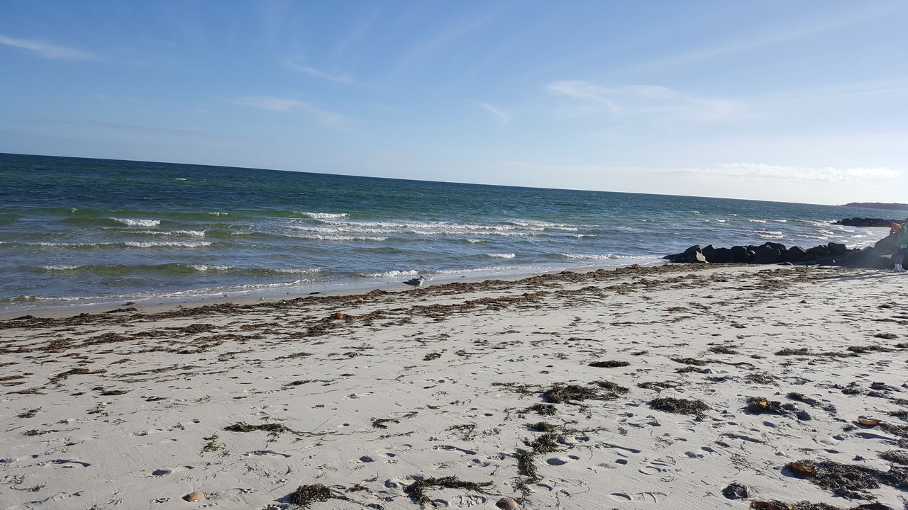 Photo of Others in West Yarmouth