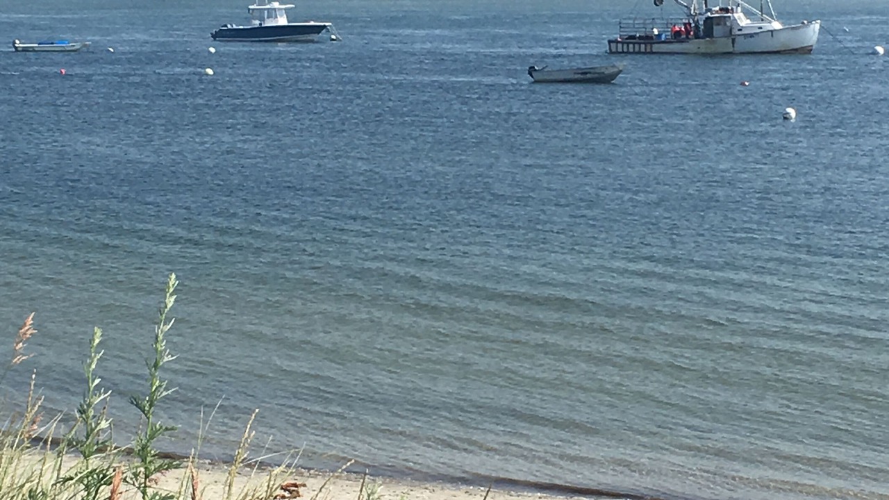 Photo of Others in Pine Point