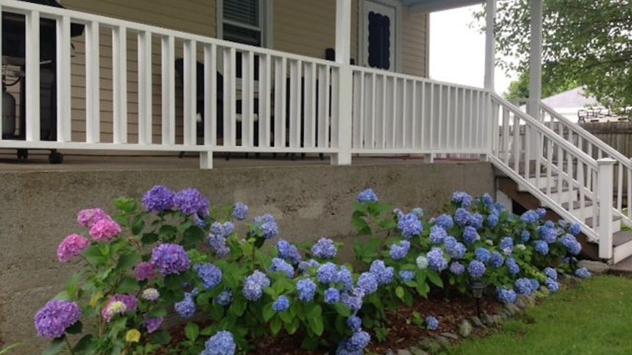 Photo of Outdoor in Jamestown