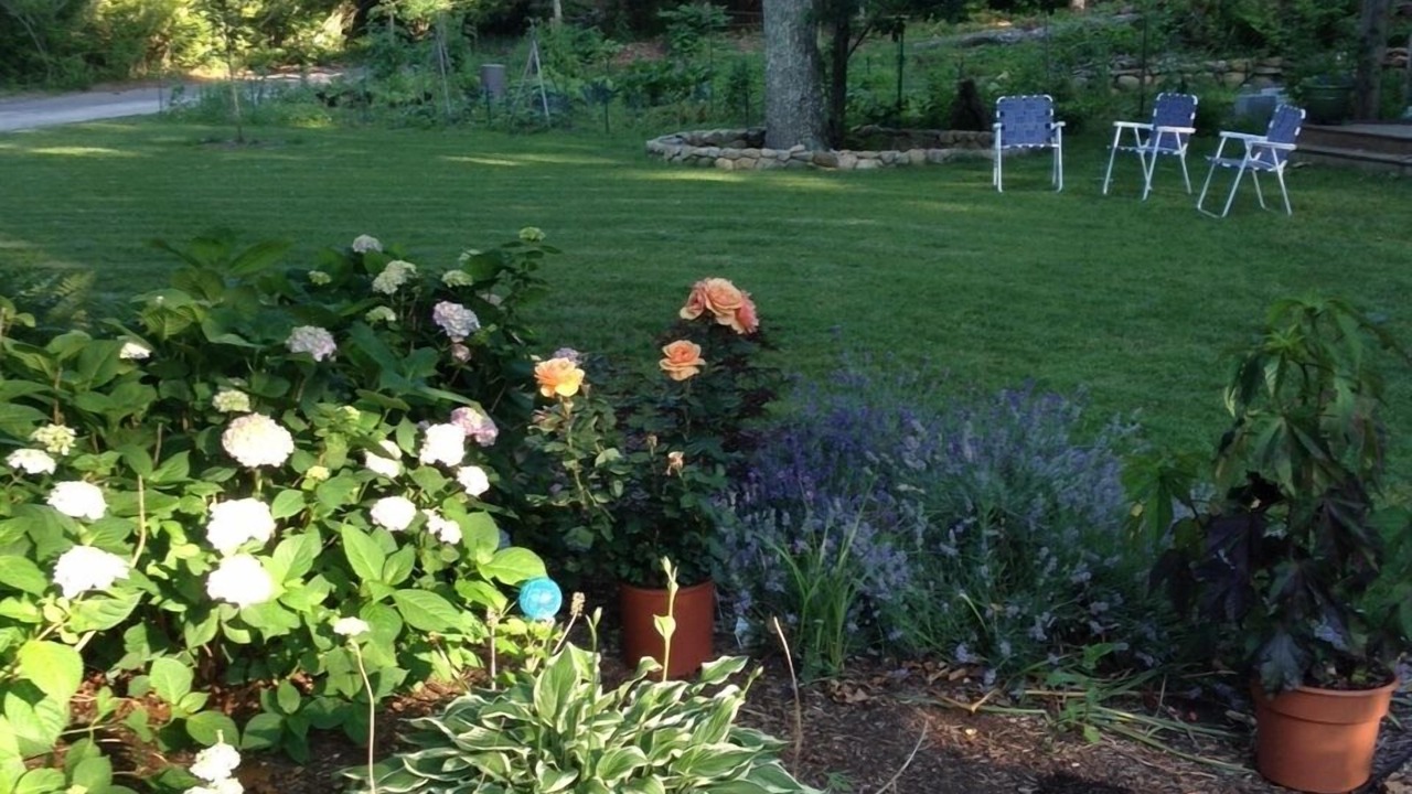 Photo of Outdoor in Tisbury