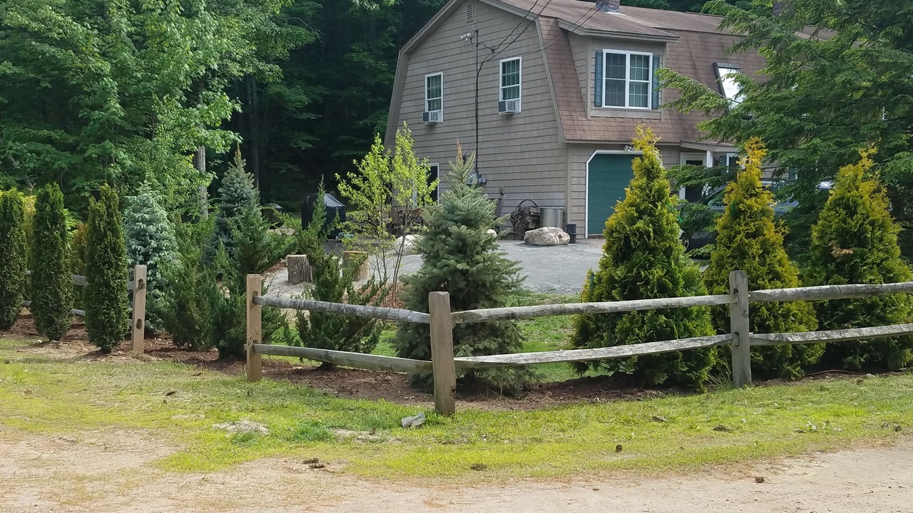 Photo of Outdoor in Alton