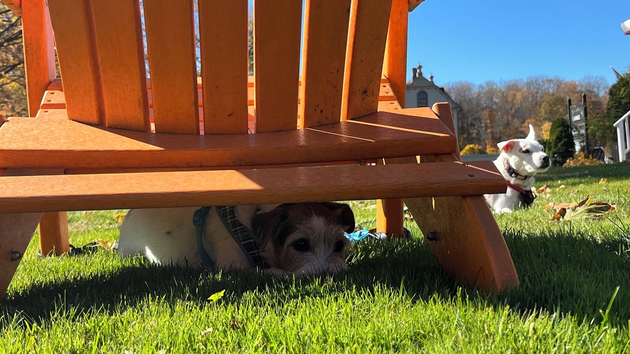 Photo of Outdoor in Lee