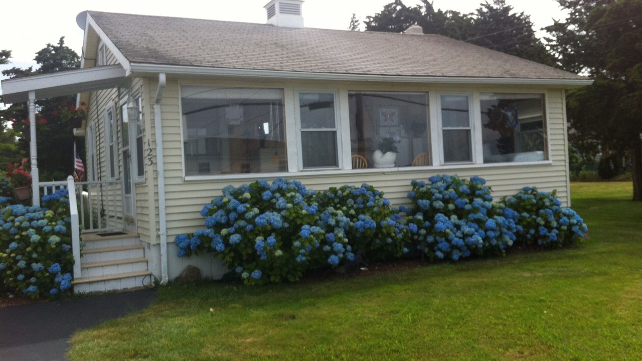 Photo of Others in Fairhaven