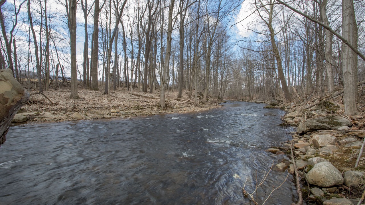 Photo of Others in East Canaan