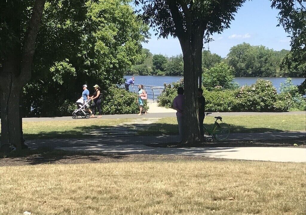 Photo of Others in Medford