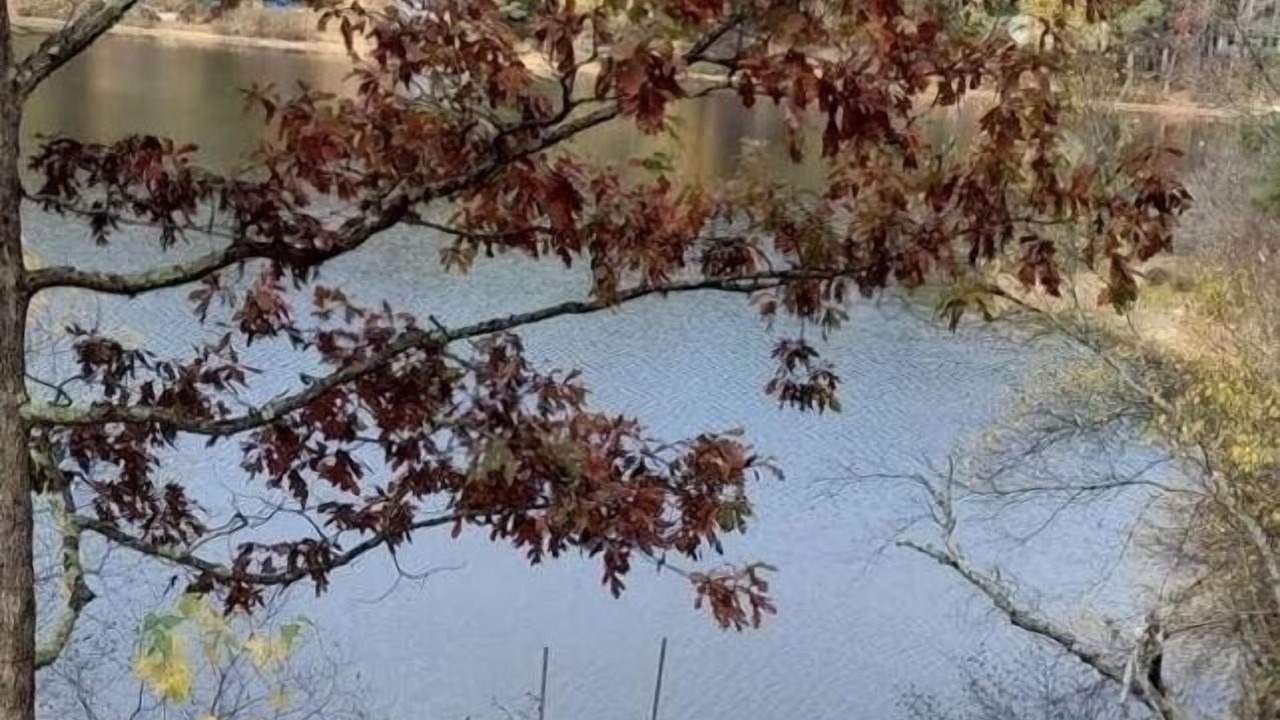 Photo of Outdoor in Freedom