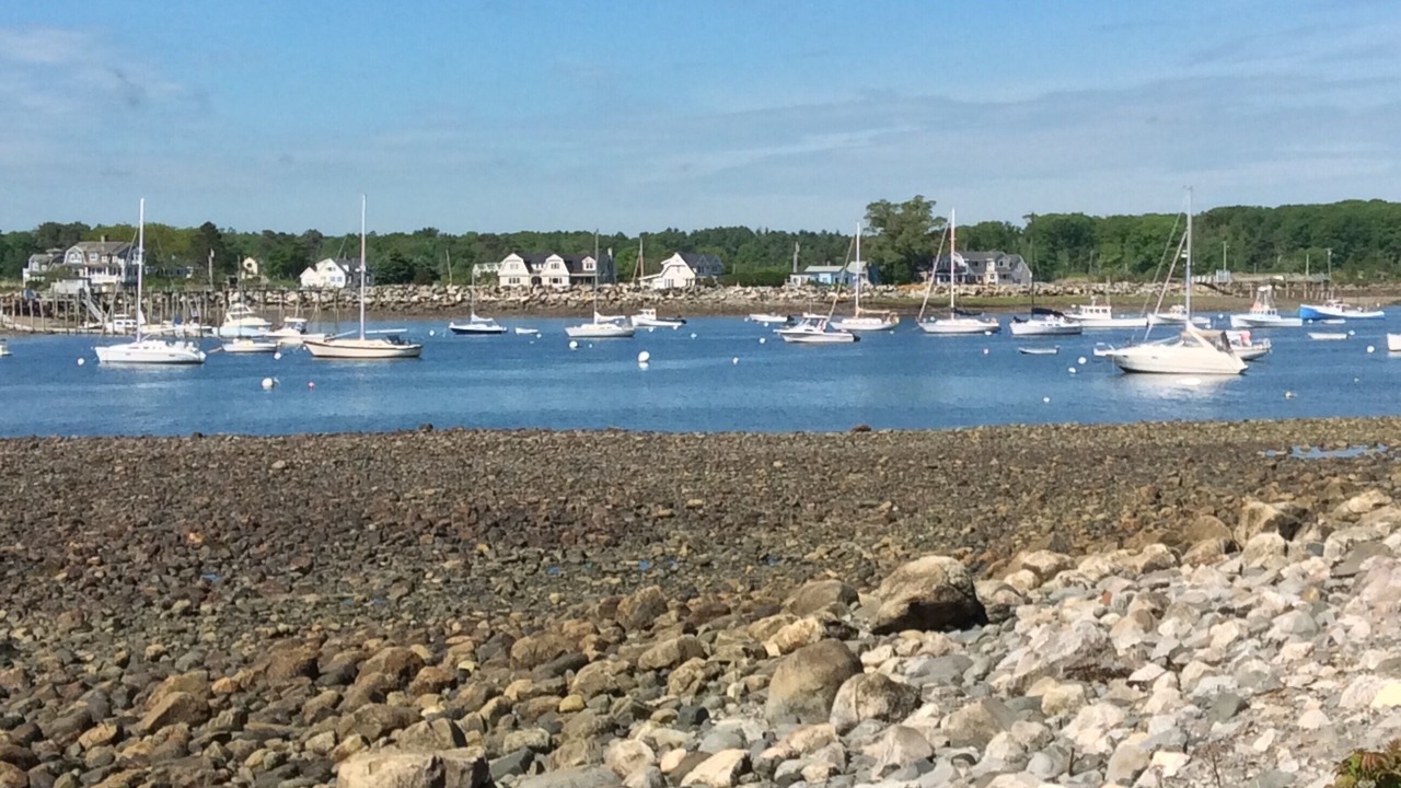 Photo of Others in Rye Beach