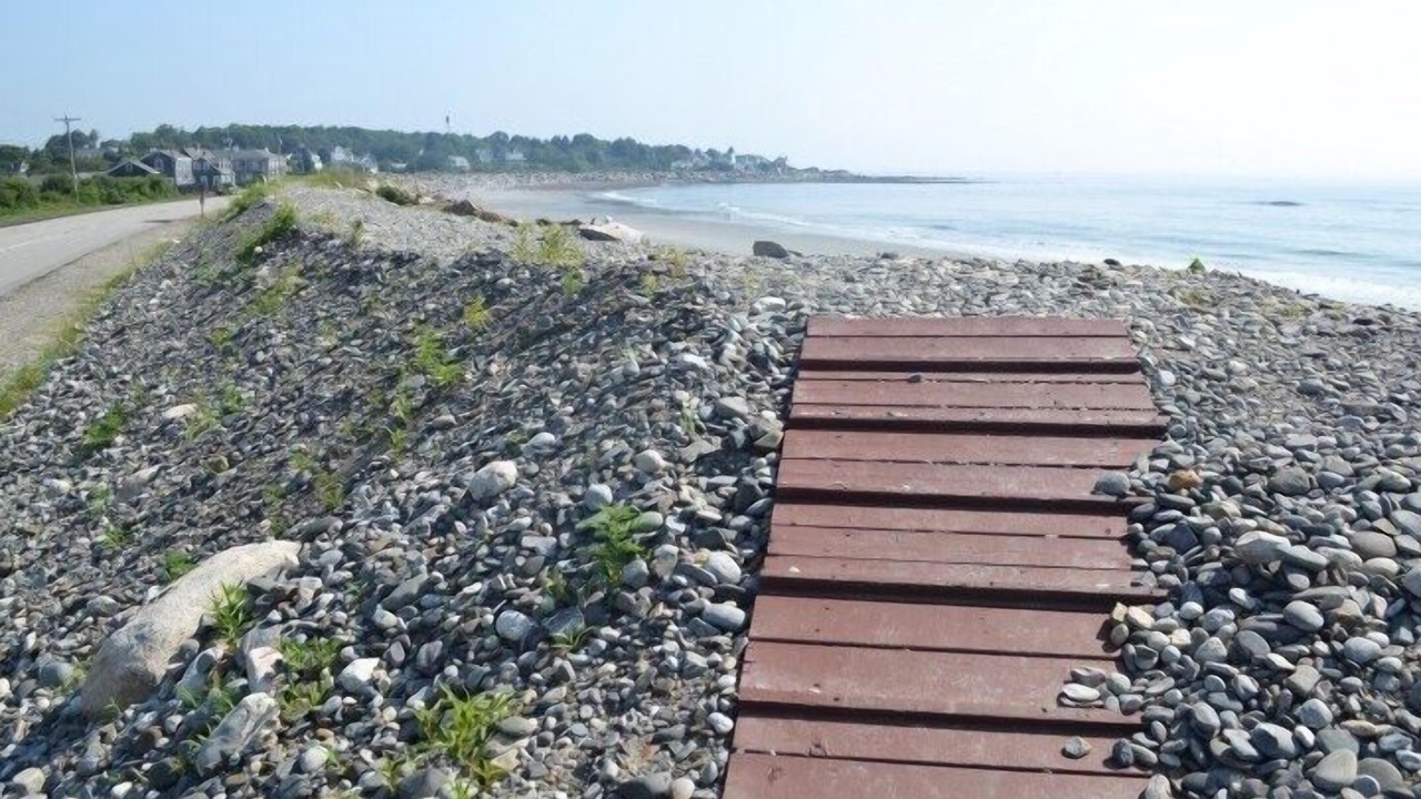Photo of Others in Rye Beach