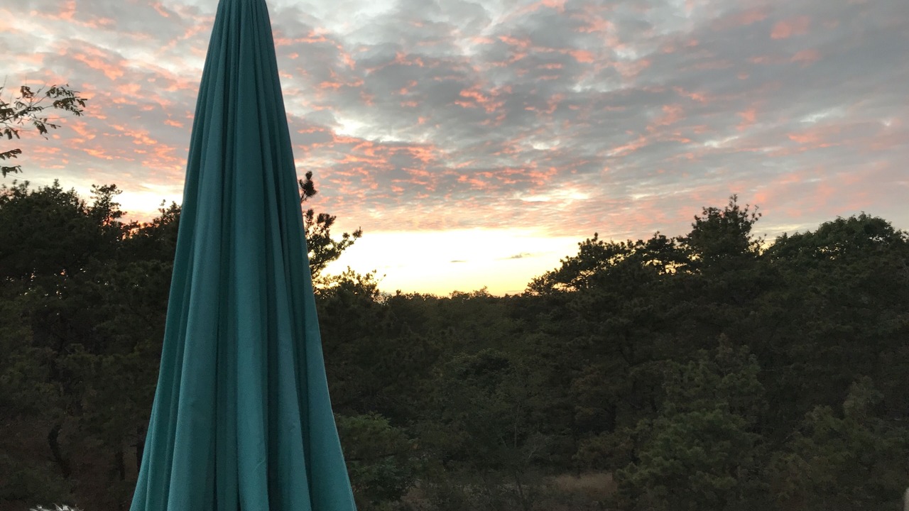 Photo of Others in Wellfleet