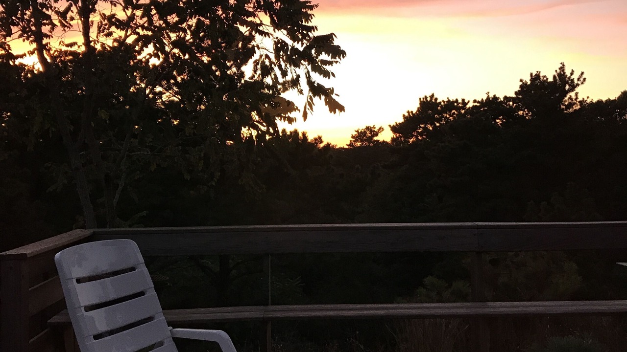 Photo of Others in Wellfleet