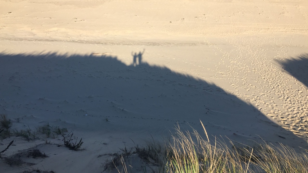 Photo of Others in Wellfleet