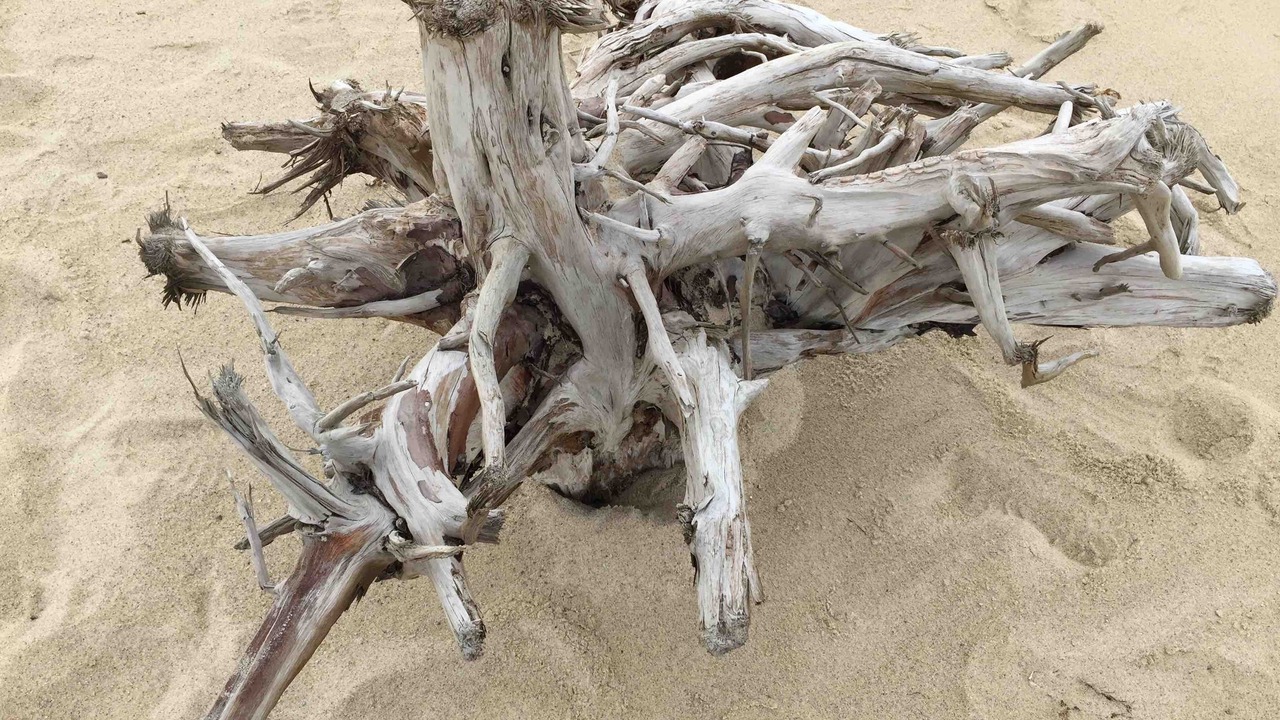 Photo of Others in Wellfleet