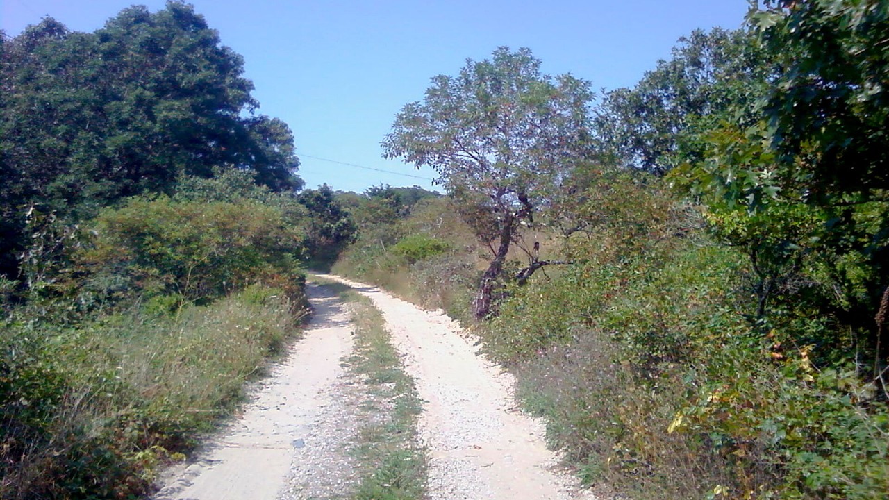 Photo of Others in Wellfleet