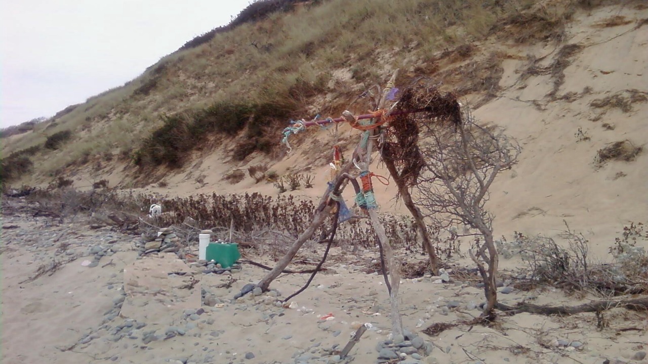 Photo of Others in Wellfleet