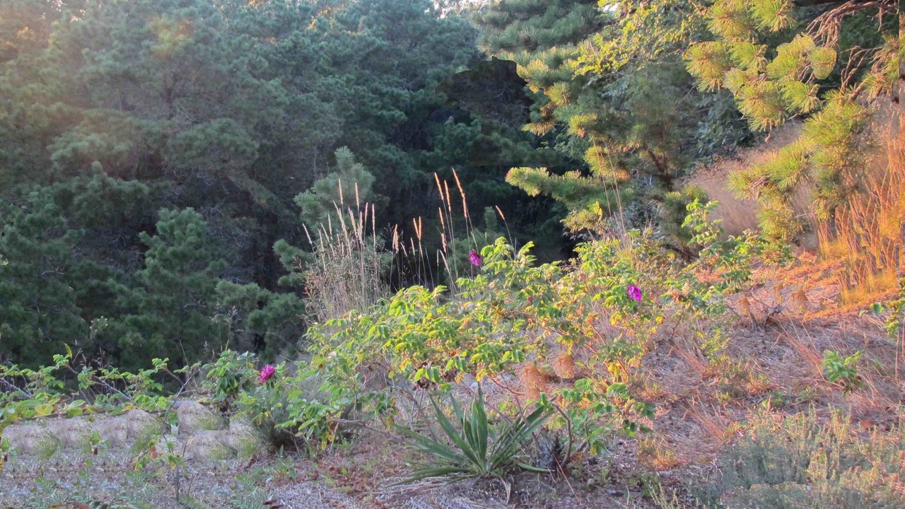 Photo of Outdoor in Wellfleet