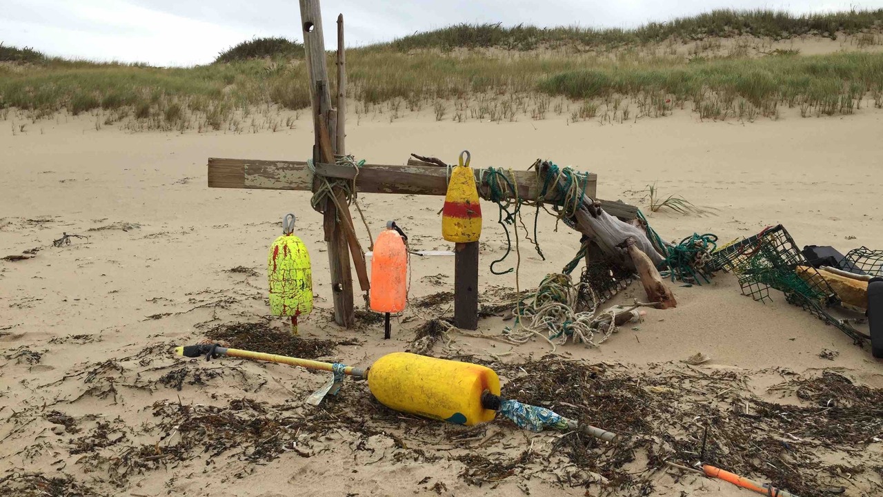 Photo of Others in Wellfleet