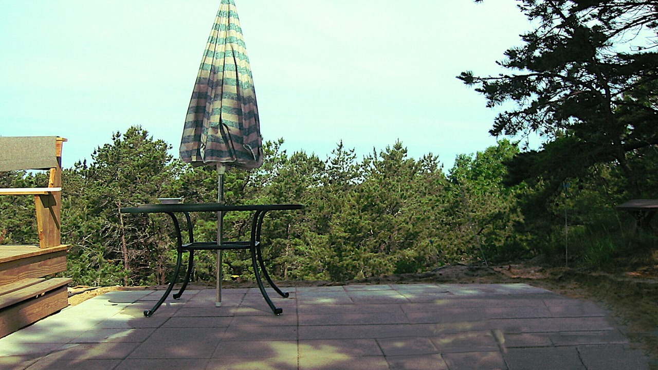 Photo of Others in Wellfleet