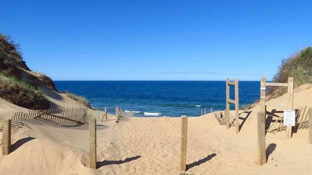 Photo of Others in Wellfleet