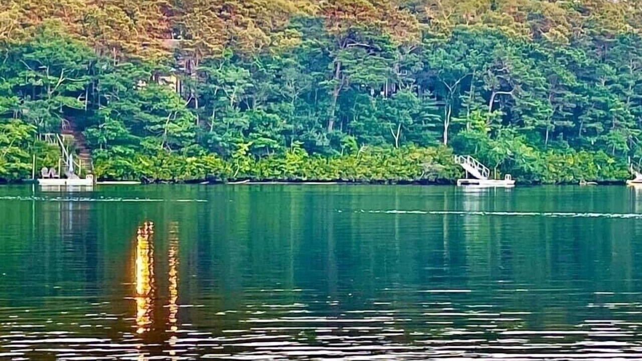 Photo of Others in Fells Pond